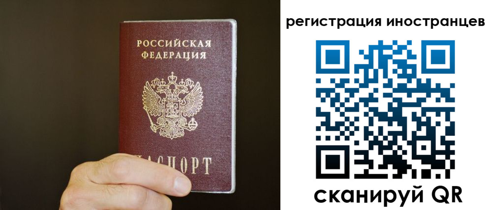 прописка в Коркино